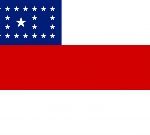 bandeira do amazonas, estado.
