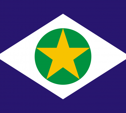 Bandeira do Mato Grosso Estado.
