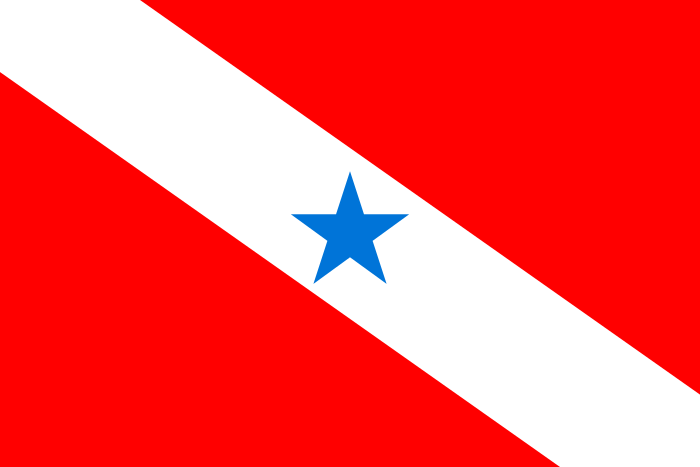 Bandeira do Pará estado.