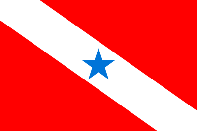 Bandeira do Pará estado.